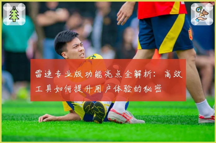 雷速专业版功能亮点全解析：高效工具如何提升用户体验的秘密