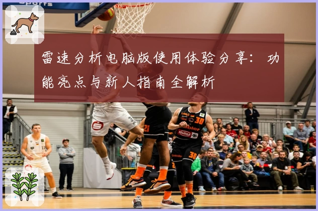 雷速分析电脑版使用体验分享：功能亮点与新人指南全解析