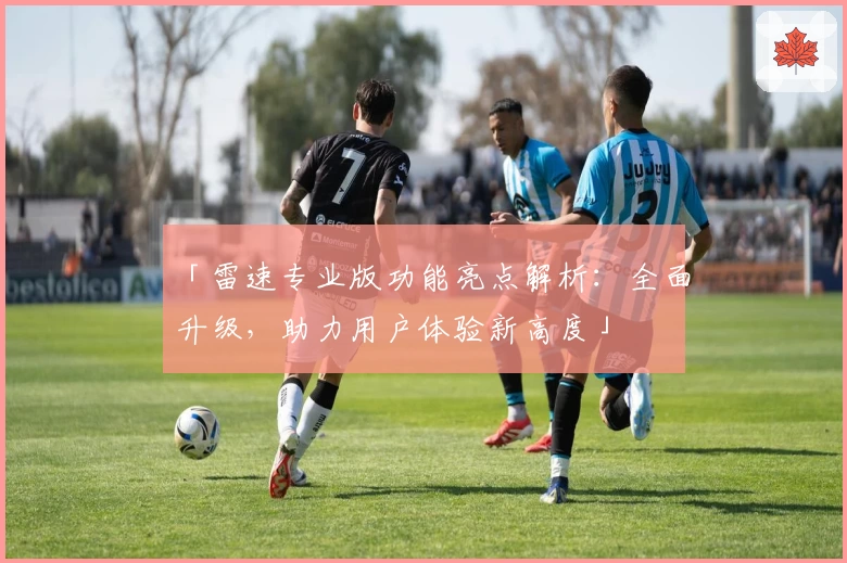 「雷速专业版功能亮点解析：全面升级，助力用户体验新高度」